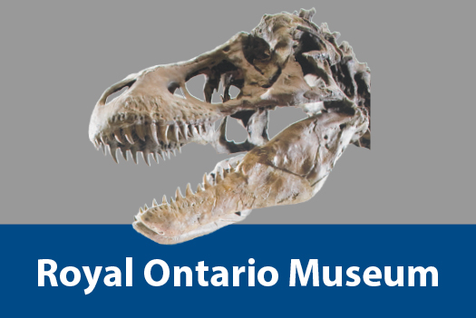 royal Ontario Museum.