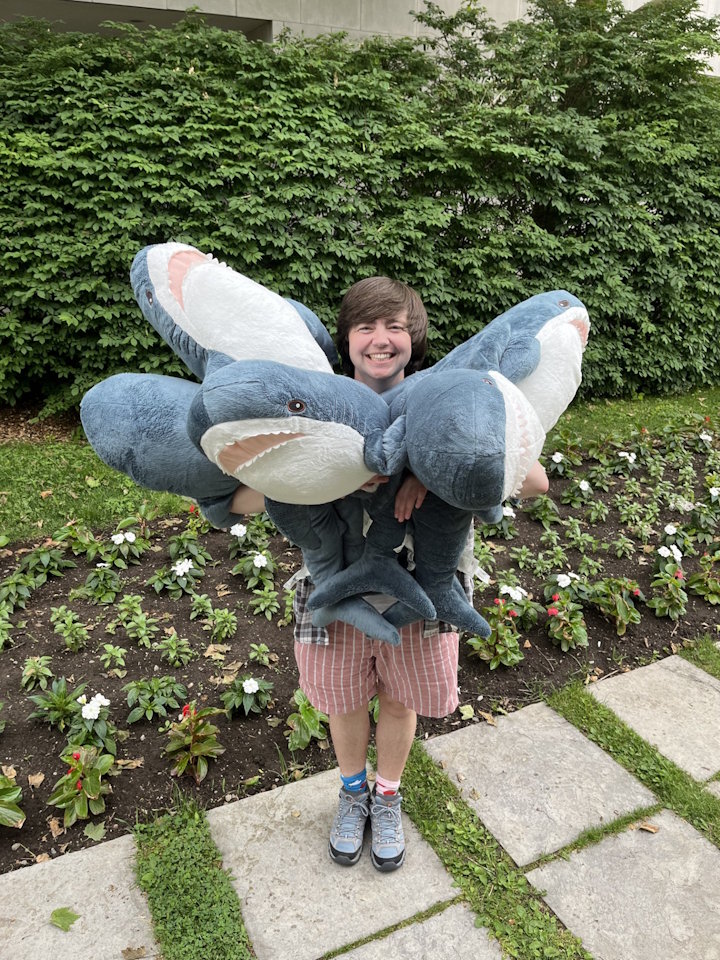 Jay with Sharks.