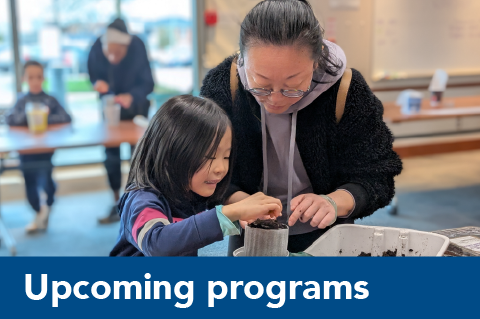 Upcoming Programs