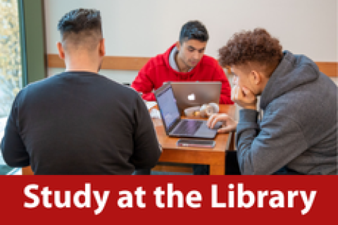 students studying