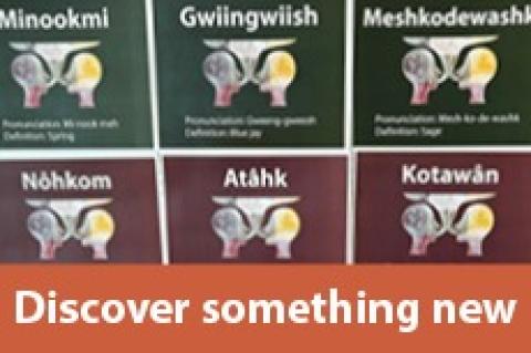 languages sign with word discover something new