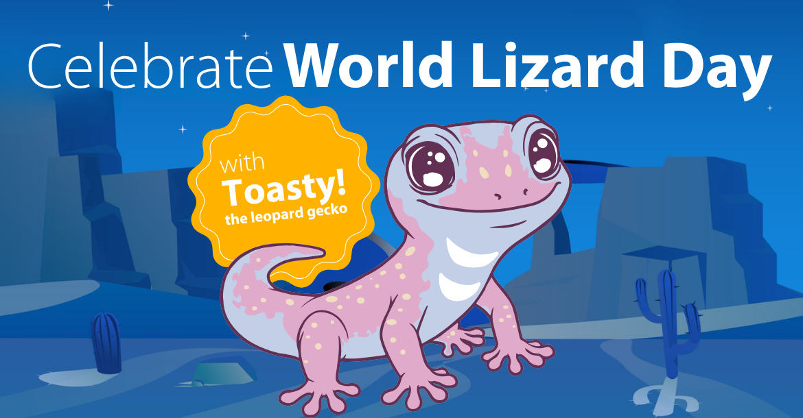 Animated lizard