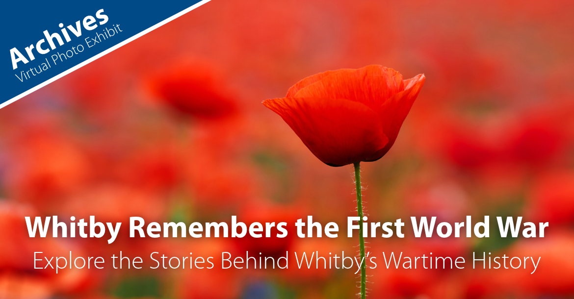 Poppies for Remembrance Day